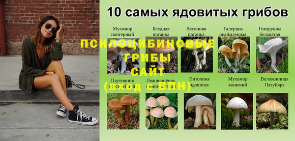 герыч Вязьма