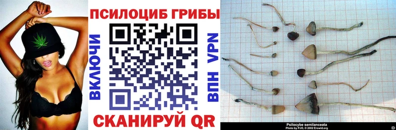 Галлюциногенные грибы мухоморы  как найти наркотики  Лосино-Петровский 